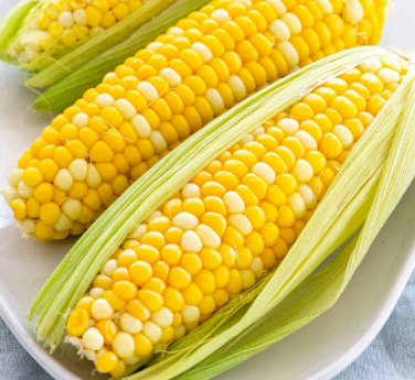 corn cob